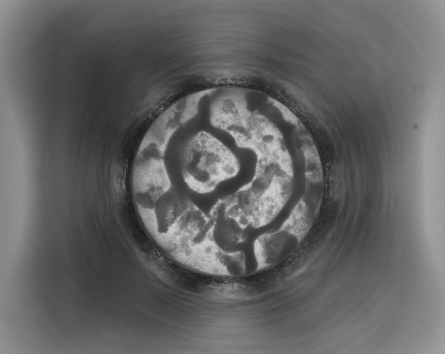 X0000115090695200911241214