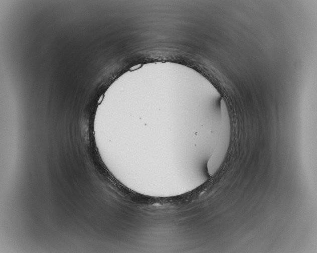 X0000115090696200911241214