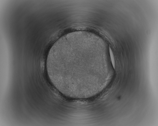 X0000115090697200911241213