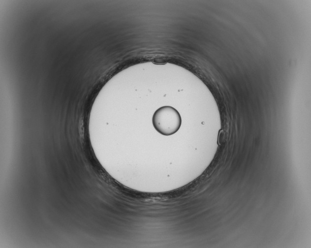 X0000115090700200911241213