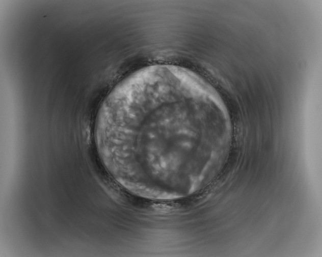 X0000115090703200911241213