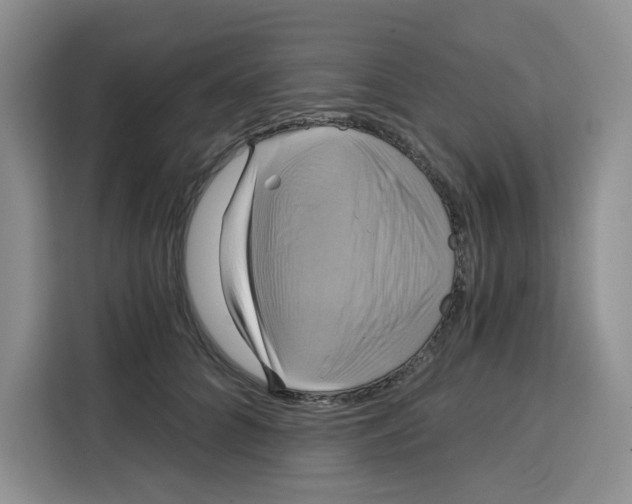 X0000115090704200911241213
