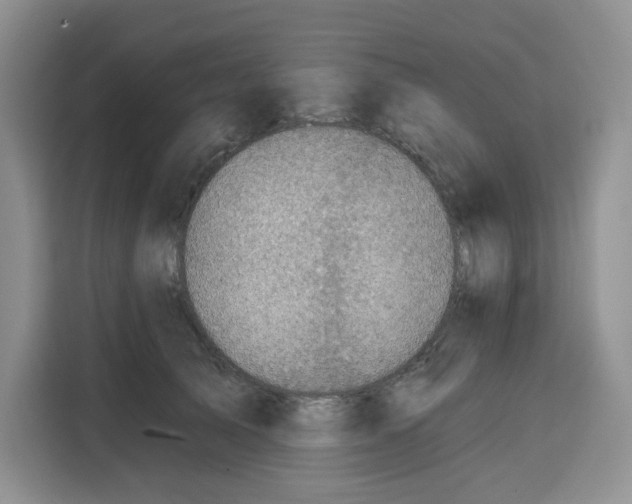 X0000115090705200911241213