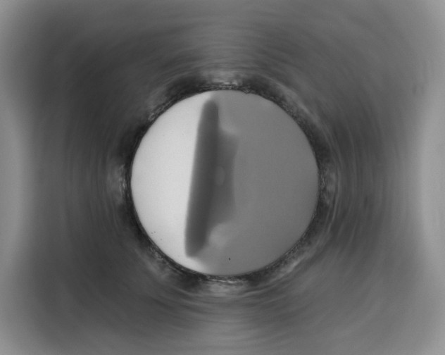 X0000115090707200911241213