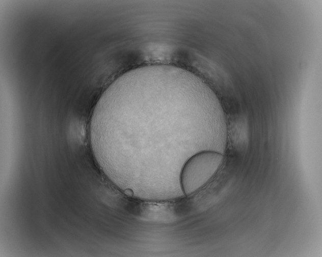 X0000115090709200911241213