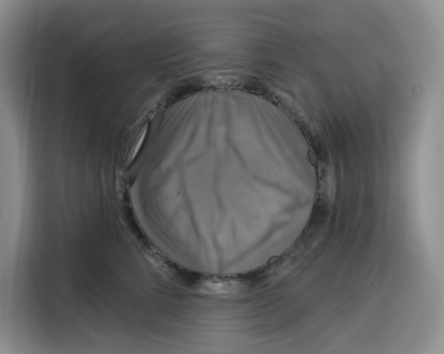 X0000115090712200911241213