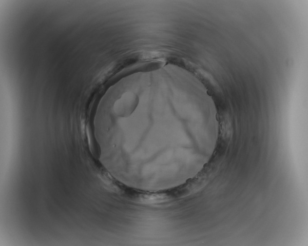 X0000115090716200911241213