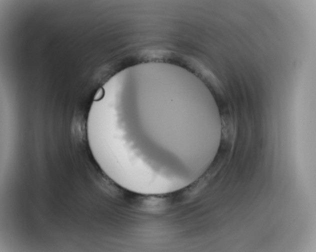 X0000115090718200911241213