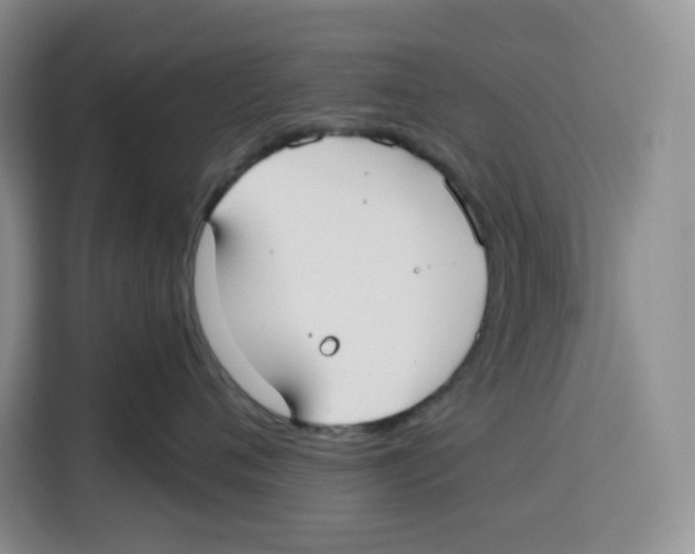 X0000115090720200911241213