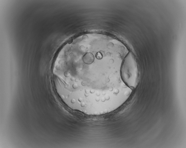 X0000115090721200911241213