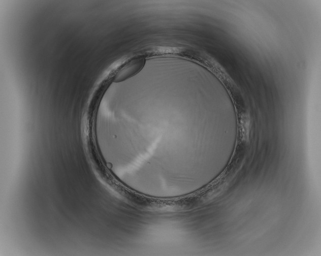 X0000115090726200911241213