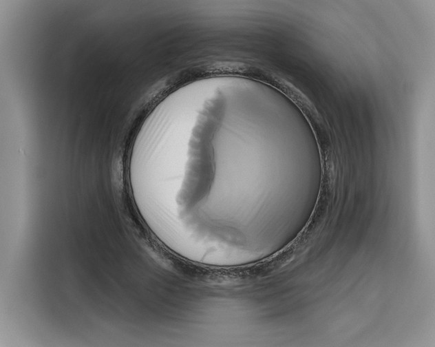 X0000115090729200911241213