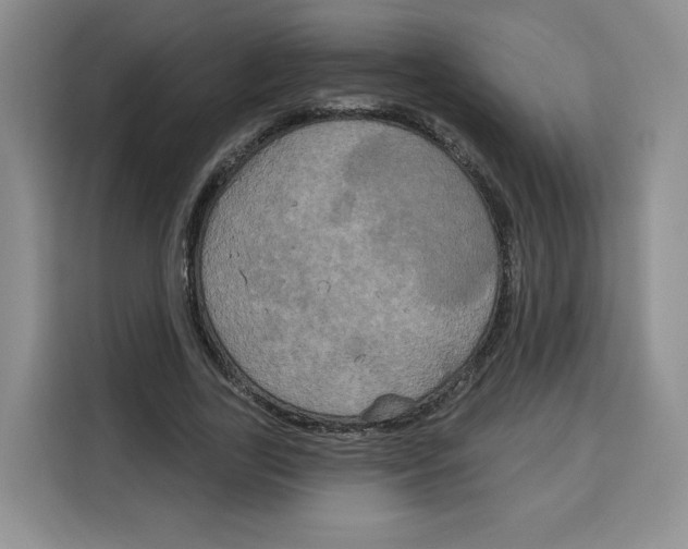 X0000115090731200911241213