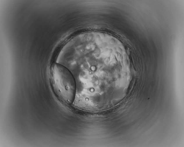 X0000115090734200911241213