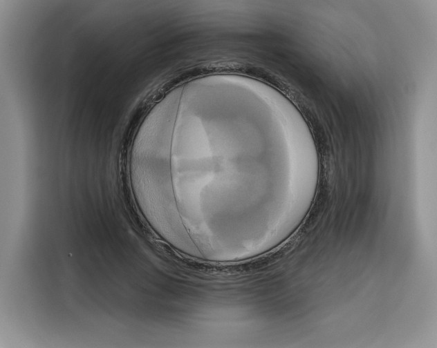 X0000115090735200911241213