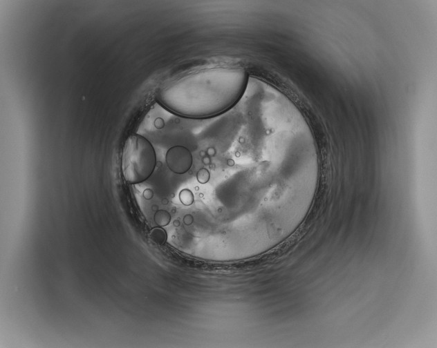 X0000115090738200911241213
