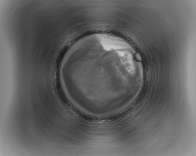 X0000115090739200911241213