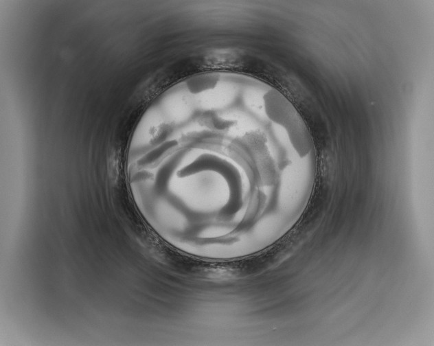 X0000115090741200911241213