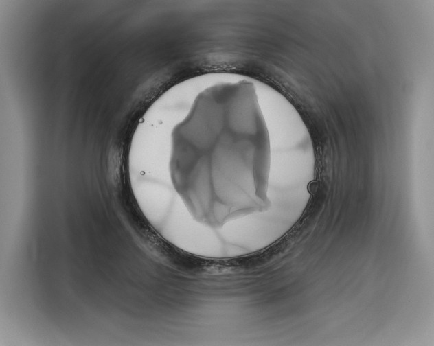 X0000115090742200911241213