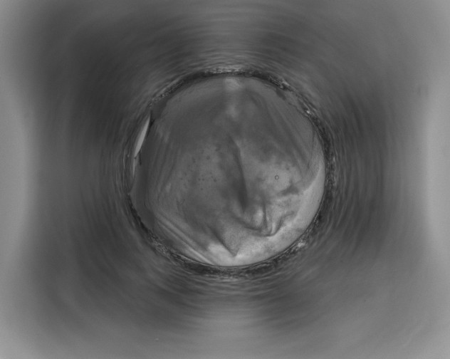 X0000115090743200911241213