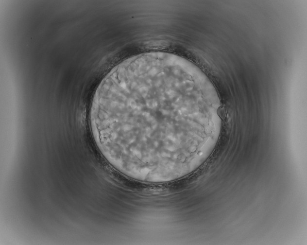 X0000115090745200911241213