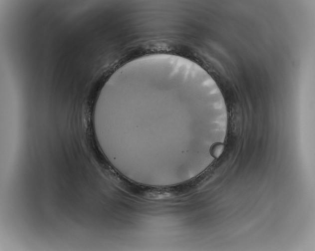 X0000115090747200911241213