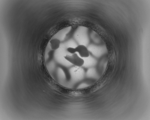 X0000115090749200911241213