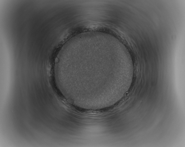 X0000115090750200911241213