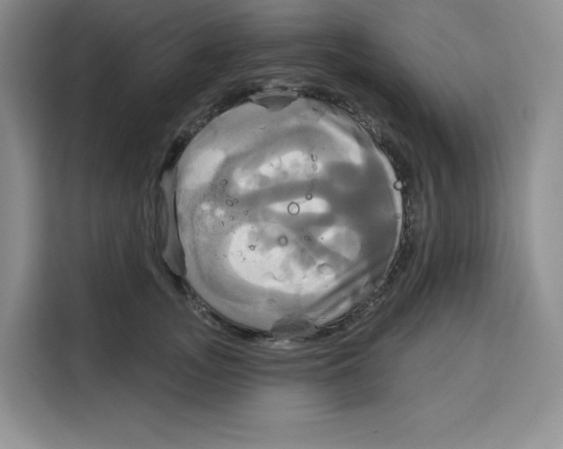 X0000115090755200911241213