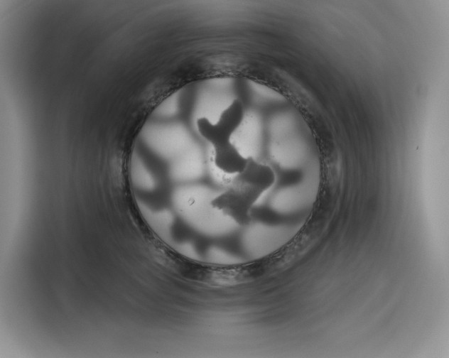 X0000115090757200911241213