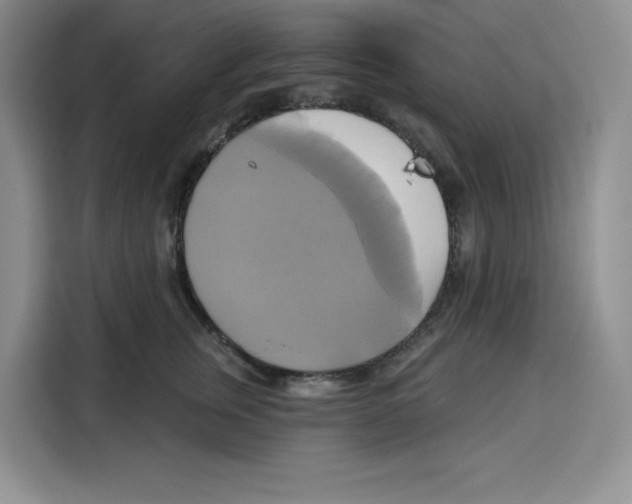 X0000115090759200911241213