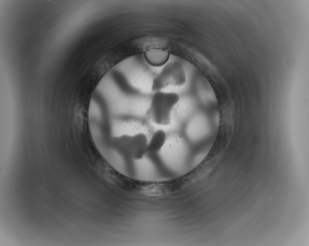 X0000115090761200911241213