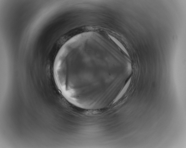 X0000115090762200911241213
