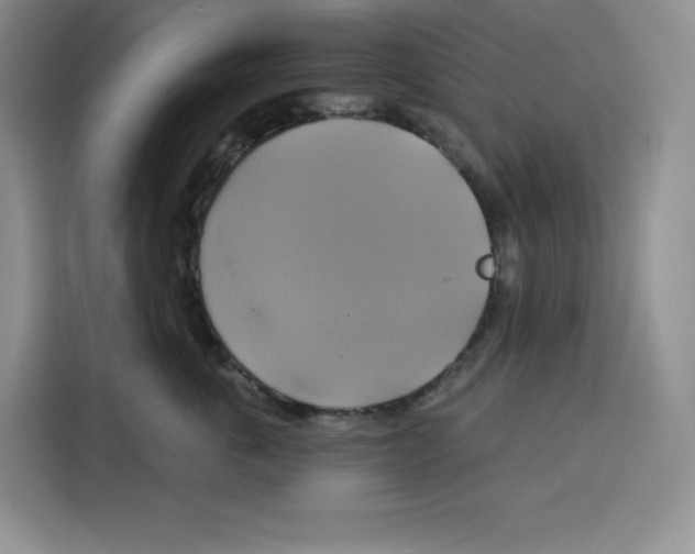 X0000115090763200911241213