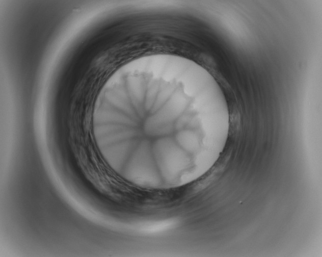 X0000115090765200911241213