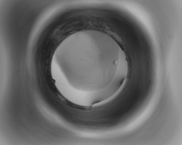 X0000115090766200911241213