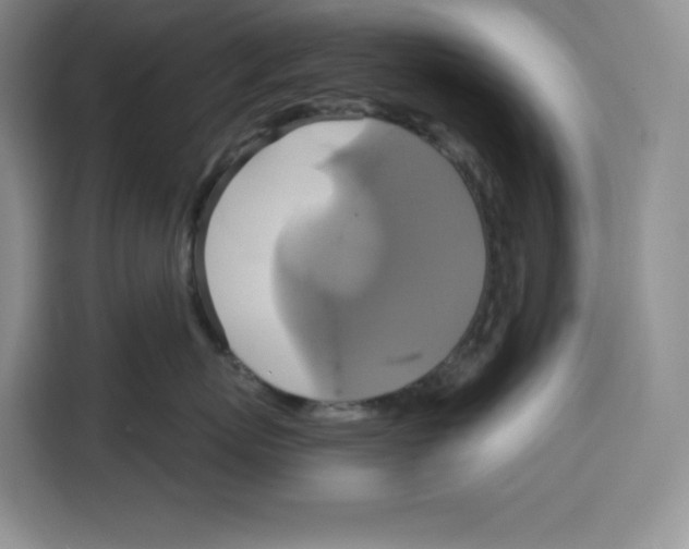 X0000115090767200911241213