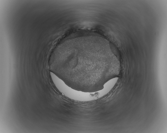 X0000115090769200911241213