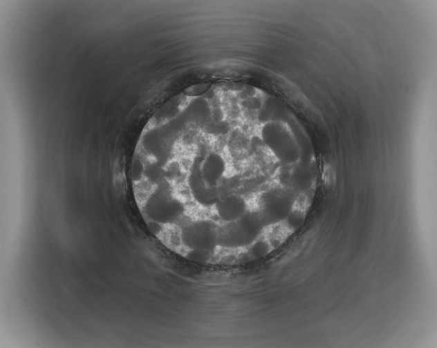 X0000115090771200911241213
