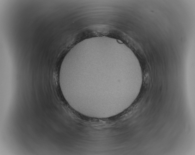 X0000115090772200911241213