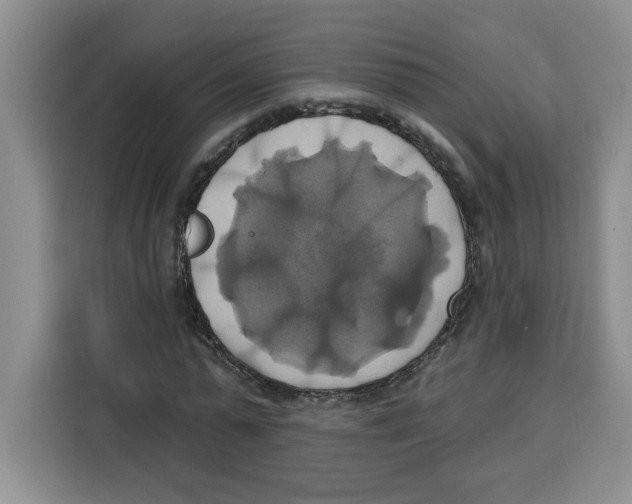 X0000115090775200911241212