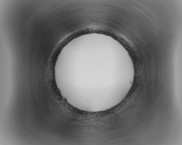 X0000115090776200911241212
