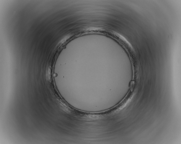 X0000115090777200911241212