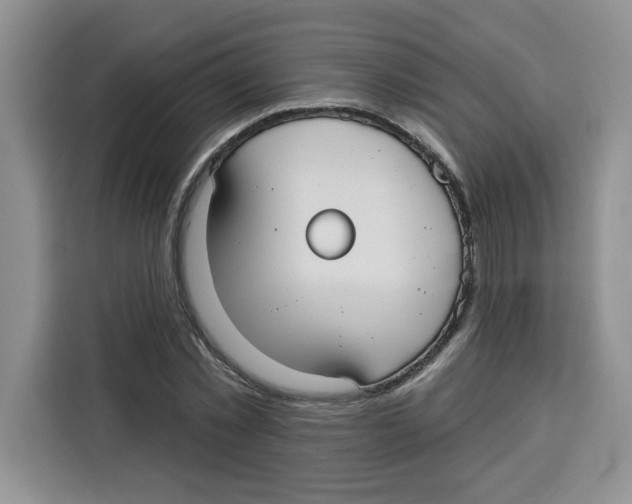 X0000115090781200911241212