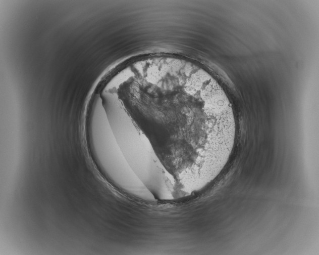 X0000115090784200911241212