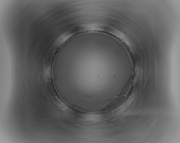 X0000115090785200911241212