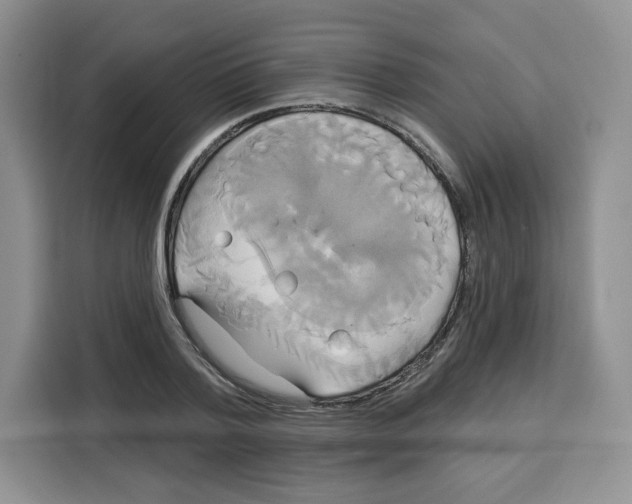X0000115090788200911241212