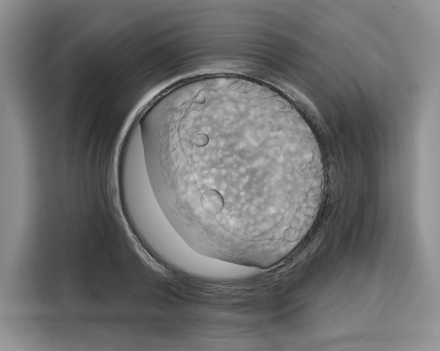 X0000115090792200911241212