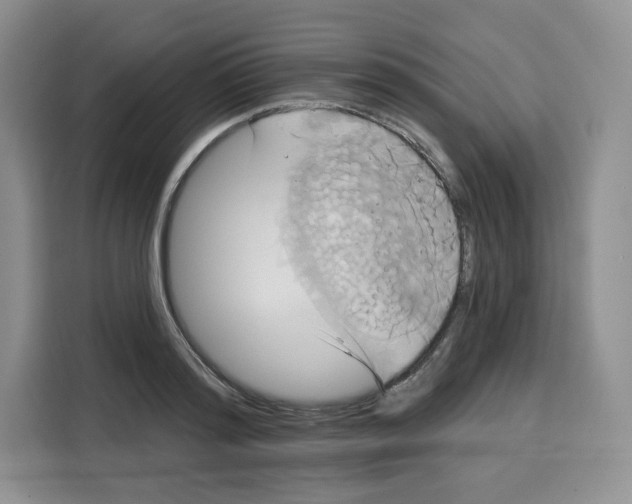 X0000115090796200911241212