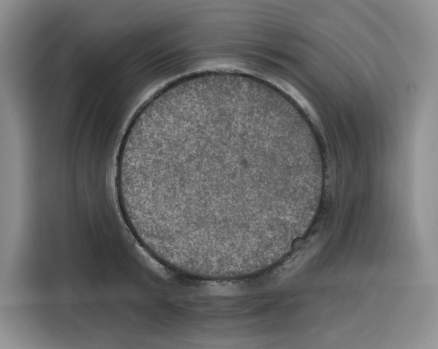 X0000115090799200911241212